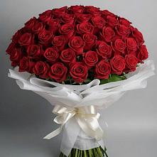 Букет 101 Красная роза Блэк Мэджик в Ельне