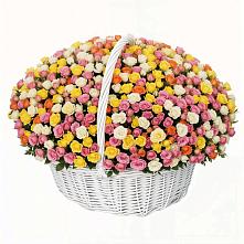 Премиум букет из: Розы в Ельне