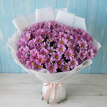 Букет цветов из:  Хризантемы в Ельне
