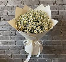 Букет цветов из:  Ромашки #REPLACE_PRED# Ельне