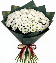 Букет цветов из:  Хризантемы #REPLACE_PRED# Ельне