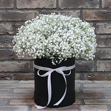 Цветочная композиция из Гипсофила в шляпной коробке #REPLACE_PRED# Ельне