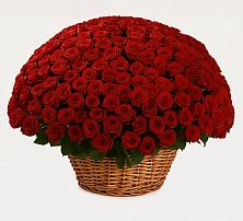 Премиум букет из: Розы в Ельне