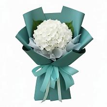Букет цветов из:  Гортензия в Ельне